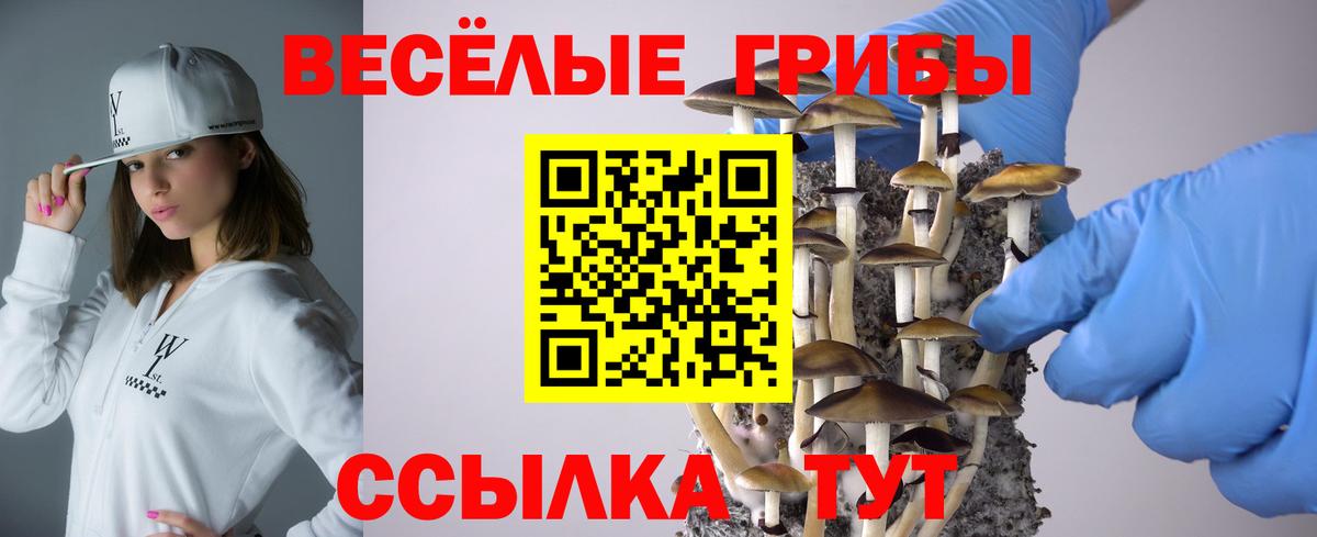 Новокуйбышевск  Галлюциногенные грибы прущие грибы  Вход с VPN 